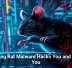 Laughing Rat Malware Hacks You and Mocks You